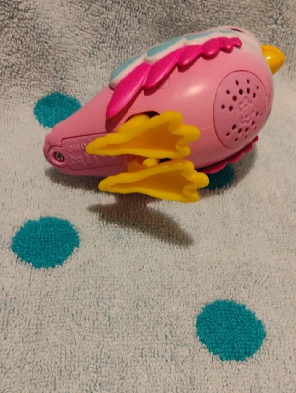 Polly - Pets Alive - Bird Only